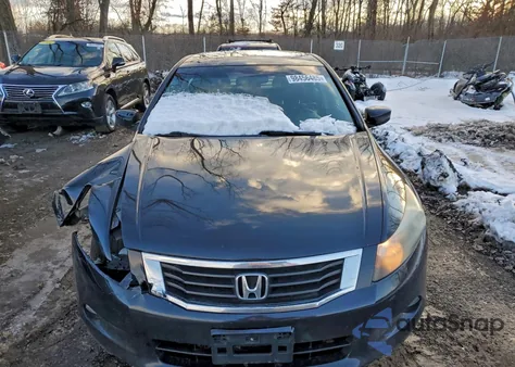 2010 Honda Accord Exl из США, поврежденный, VIN 1HGCP3F89AA006268